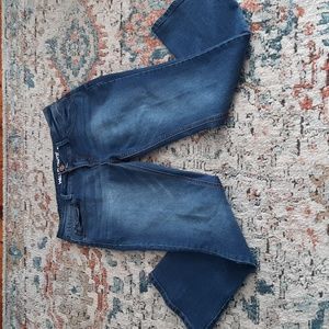 WallflowerCurvy- Luscious Curvy Jeans